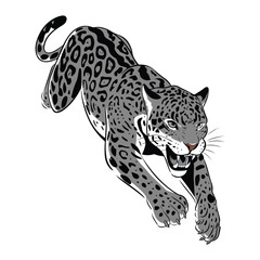 Leaping Jaguar in Motion, Wild Animal Illustration for Nature, Wildlife, and Animal Art