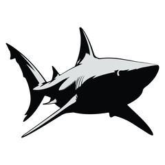 Shark Graphic, Ocean Predator Animal Illustration for Marine Life, Wildlife, and Nature Art