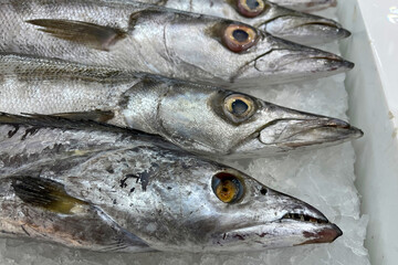 Fresh fish for sale on ice in a supermarket.