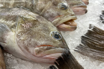 Fresh fish for sale on ice in a supermarket.