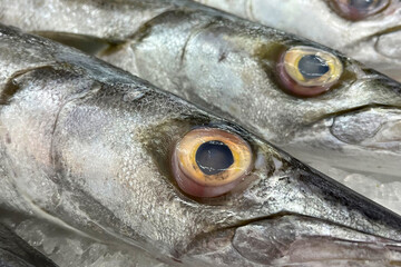 Fresh fish for sale on ice in a supermarket.