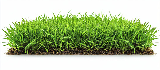 A close-up of lush green turf grass, perfect for landscaping projects, gardening inspiration, or eco-friendly designs. Ideal for spring marketing and outdoor events.