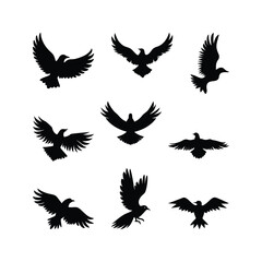 A collection of black eagle silhouettes in various flight 1