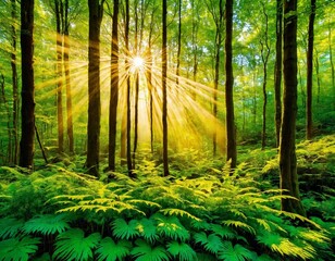 Obraz premium Sunlight Streaming Through Lush Green Forest in Springtime