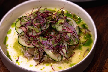 Gourmet fish ceviche with cucumber and microgreens in merida, yucatan