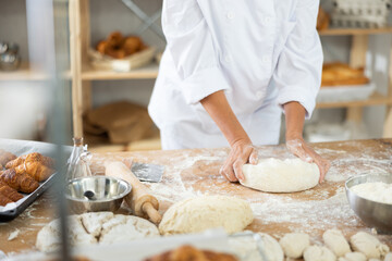 Cute doughs arranged on table in light bakery with close-up of female hands skillfully kneading dough at food production line