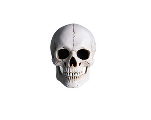 Striking close up of a realistic human skull model, revealing detailed anatomical features and texture, perfect for educational, medical or artistic purposes and concepts, halloween horror theme