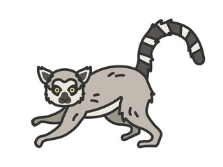 キツネザル（線画カラー）のイラスト