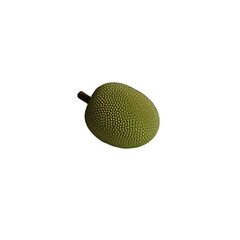 Fresh Jackfruit PNG Image – High-Quality Transparent Background