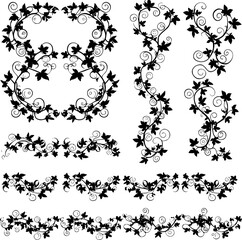 vector illustration, seamless pattern, decorative black and white curly ivy branches with leaves
