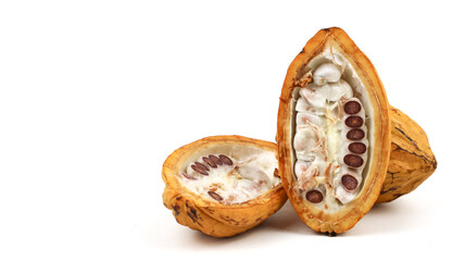 A  fresh raw cacao isolated - on white background