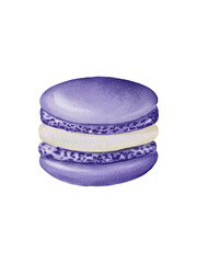 French macaroon in watercolour technique purple colorful illustration transparent background