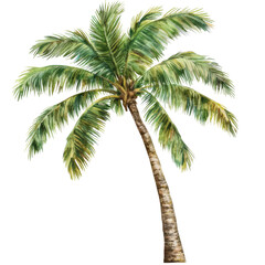 A vibrant watercolor of a towering palm tree