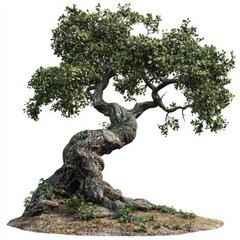 Fototapeta premium Unique twisted tree with vibrant green leaves showcasing natural beauty and intricate bark texture in a serene landscape