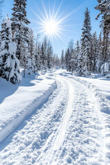 Obraz premium Snowy winter trail through the forest, sunny day, perfect for a hike or ski, scenic winter wonderland