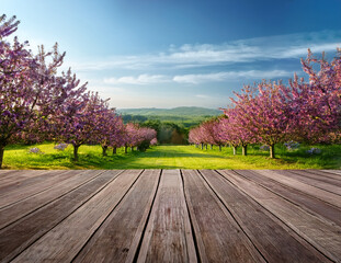 Generated image  ウッドデッキからの眺め