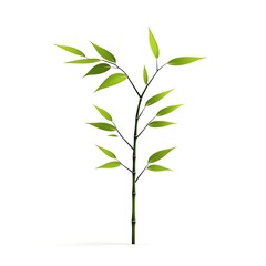 3d bamboo logo design