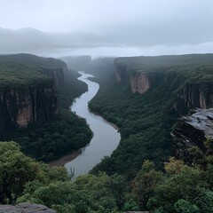 Misty river canyon, aerial view, rainforest, travel