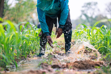 Naklejka premium Irrigating crops agricultural field rural environment low angle sustainable farming practices