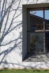 Naklejka premium Tree Reflection on Modern Building Windows