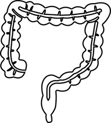 Human Organs Hand Drawn Line Icon Organs Vector for apps, web sign symbol of long tube pictogram for human anatomy
