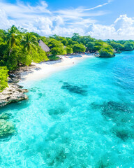 Tropical beach paradise, turquoise water, palm trees