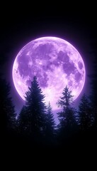 Purple Moon Over Forest