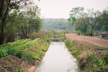 Tranquil waterway scene rural landscape nature serene environment peaceful viewpoint natural beauty