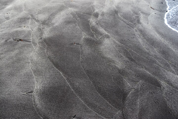 Black sand beach texture with bird footprints in Iceland