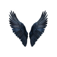 Fototapeta premium Pair of Majestic Black and Gold Wings against transparent background