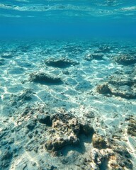 Fototapeta premium Stunning underwater shot of a tranquil ocean floor, showcasing sunlight filtering through the water, illuminating the rocky seabed and sandy patches.