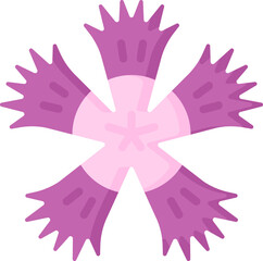 fringed dianthus Illustration on a white background.