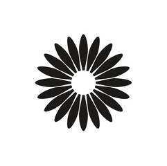 flower on a white background