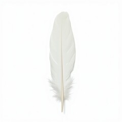 Elegant white feather, perfect for writing or artistic inspiration.