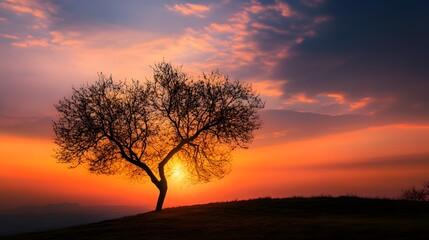 Fototapeta premium Heart-shaped tree silhouette under a warm sunset, evoking romance and natural beauty