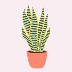 Sansevieria plant with big leaves in an orange pot. Minimalist Flat vector illustration. Perfect for botanical designs, home decor, and eco-friendly themes.