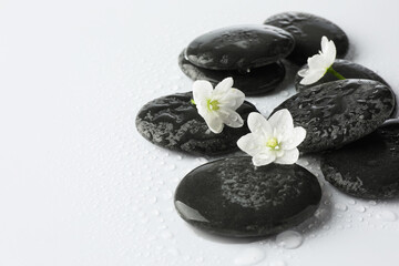 Wet spa stones and beautiful flowers on white background, closeup. Space for text