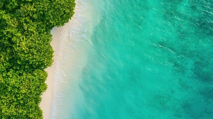 Serene coastal paradise tropical beach aerial view vibrant ocean nature's beauty relaxing environment