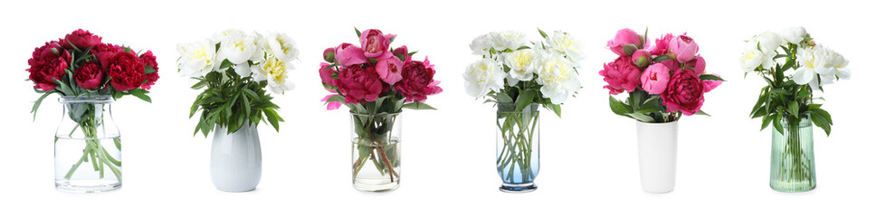 Bouquets of beautiful peony flowers in different vases isolated on white, set