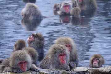 Naklejka premium mother and baby