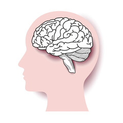 human brain vector illustration in relief papercut style.