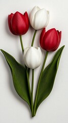 Red & White Tulips Arrangement
