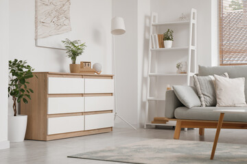 Interior of modern light living room with wooden chest of drawers and comfortable sofa