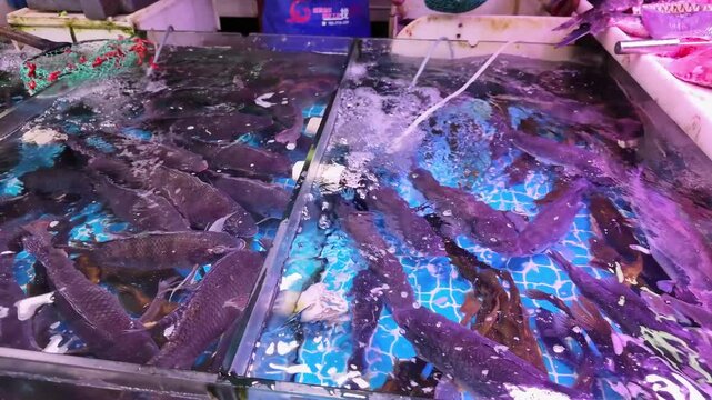 Various edible fish sold in the seafood market, aquaculture