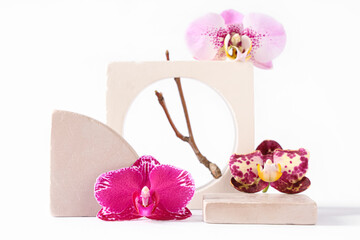 Decorative podiums with beautiful orchid flowers and tree branch on white background