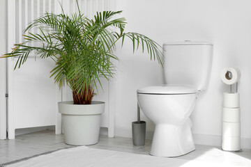 Interior of restroom with toilet bowl, paper holder and houseplant near white wall