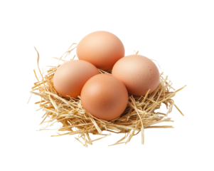 fresh brown eggs resting on golden straw on transparent background