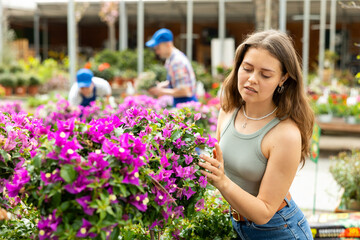 Interested young girl in casual clothing thoughtfully selecting blooming vibrant purple...