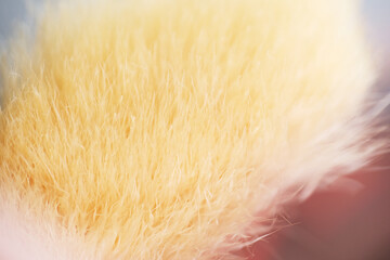 Macro texture of used blusher brush as background