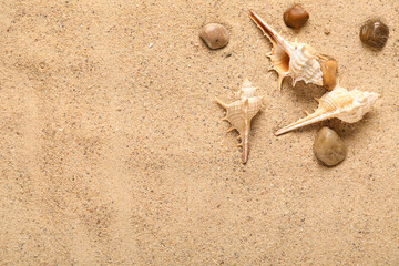 Beautiful seashells and pebbles on beach sand